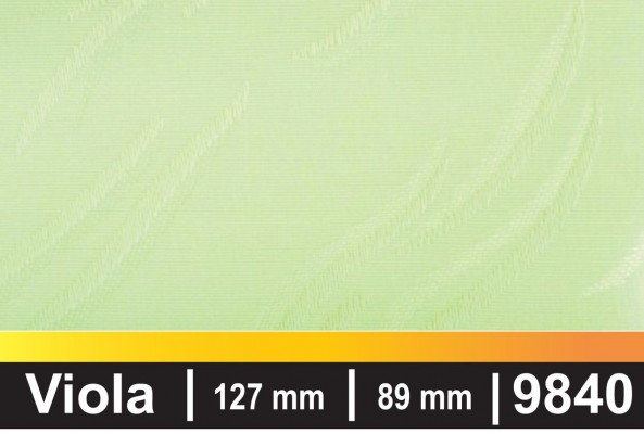 Viola-9804